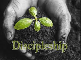 Discipleship